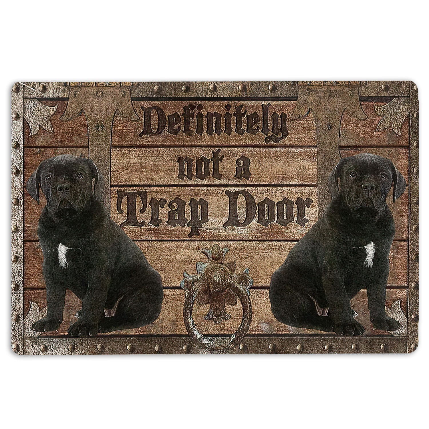 Definitely Not A Trap Door Indoor Outdoor Doormat