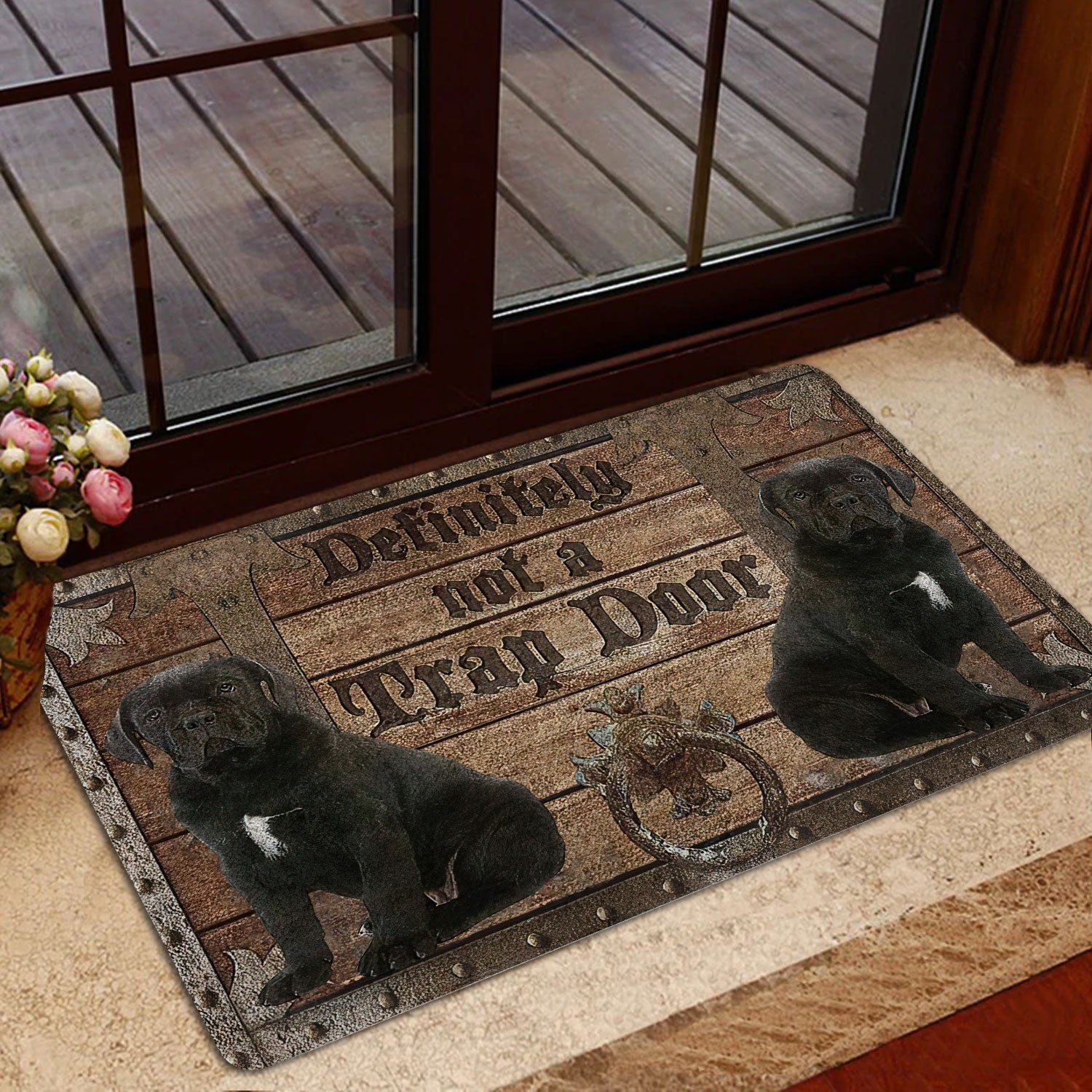 Definitely Not A Trap Door Indoor Outdoor Doormat