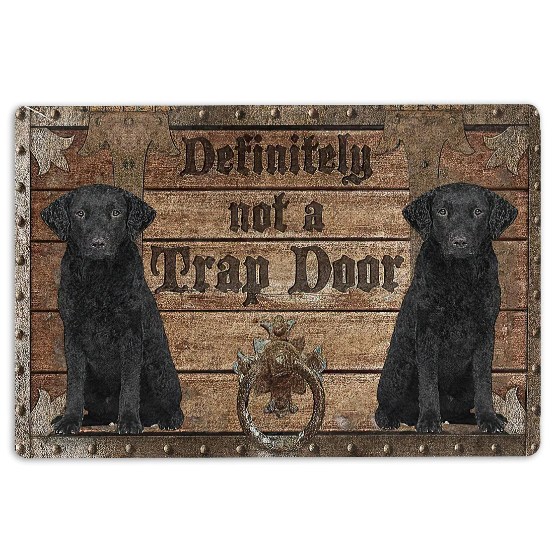 Ohaprints-Doormat-Outdoor-Indoor-Definitely-Not-A-Trap-Door-Curly-Cotaed-Retriever-Rubber-Door-Mat-1930-18'' x 30''