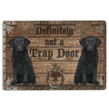 Ohaprints-Doormat-Outdoor-Indoor-Definitely-Not-A-Trap-Door-Curly-Cotaed-Retriever-Rubber-Door-Mat-1930-18'' x 30''