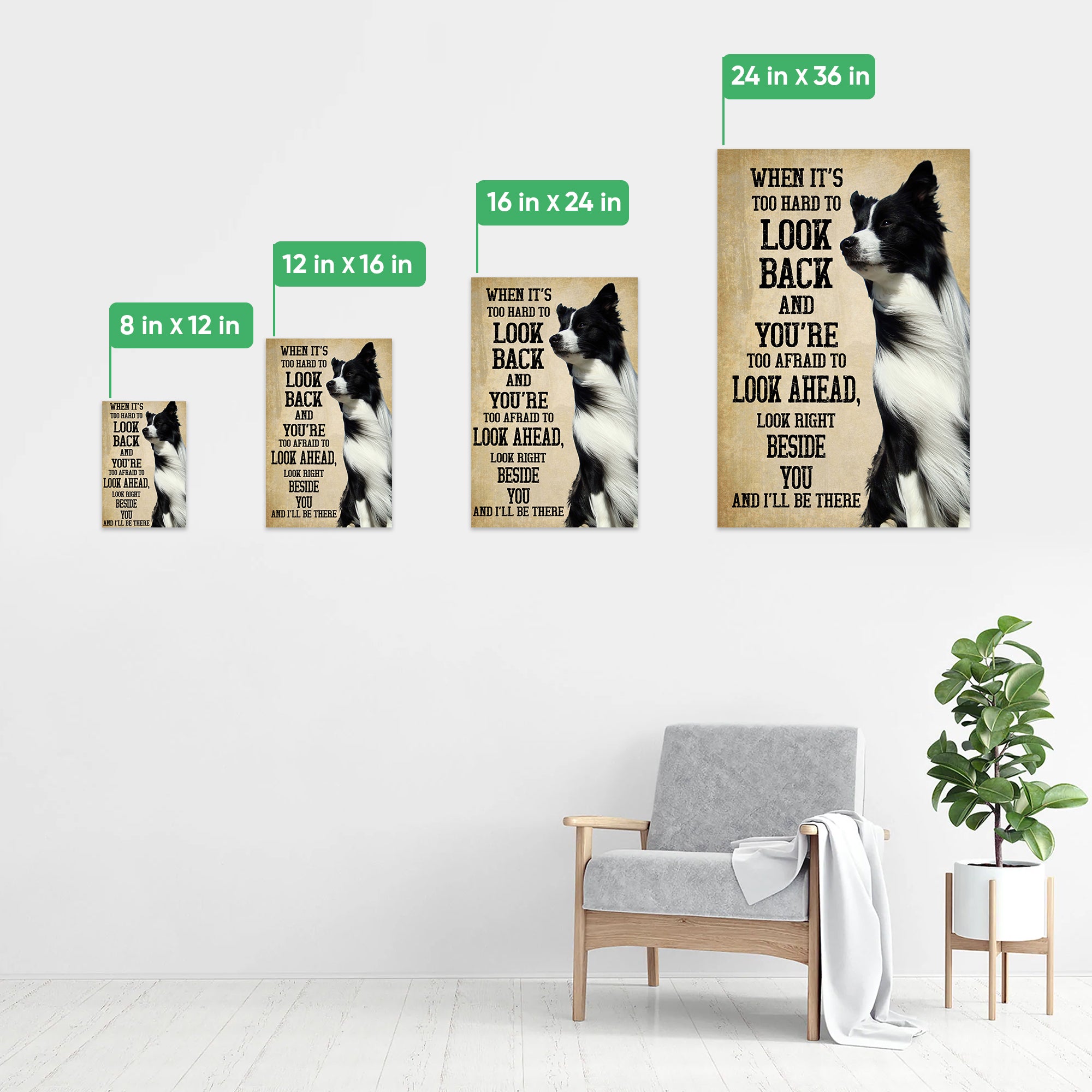 Border Collie, Posters, Art Prints, Wall Murals