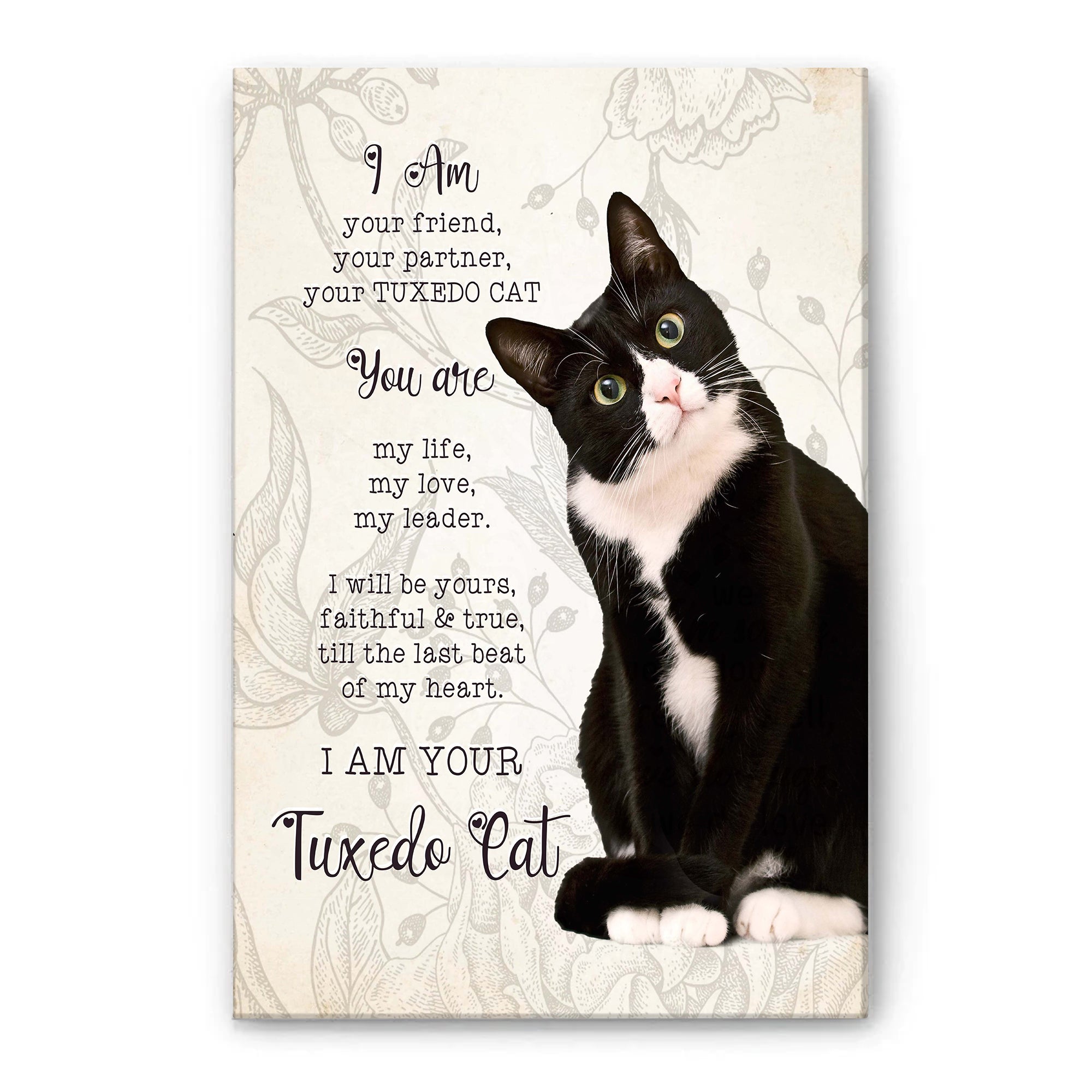 Cat Dad Birthday Gifts, Cat Dad Birthday Cards