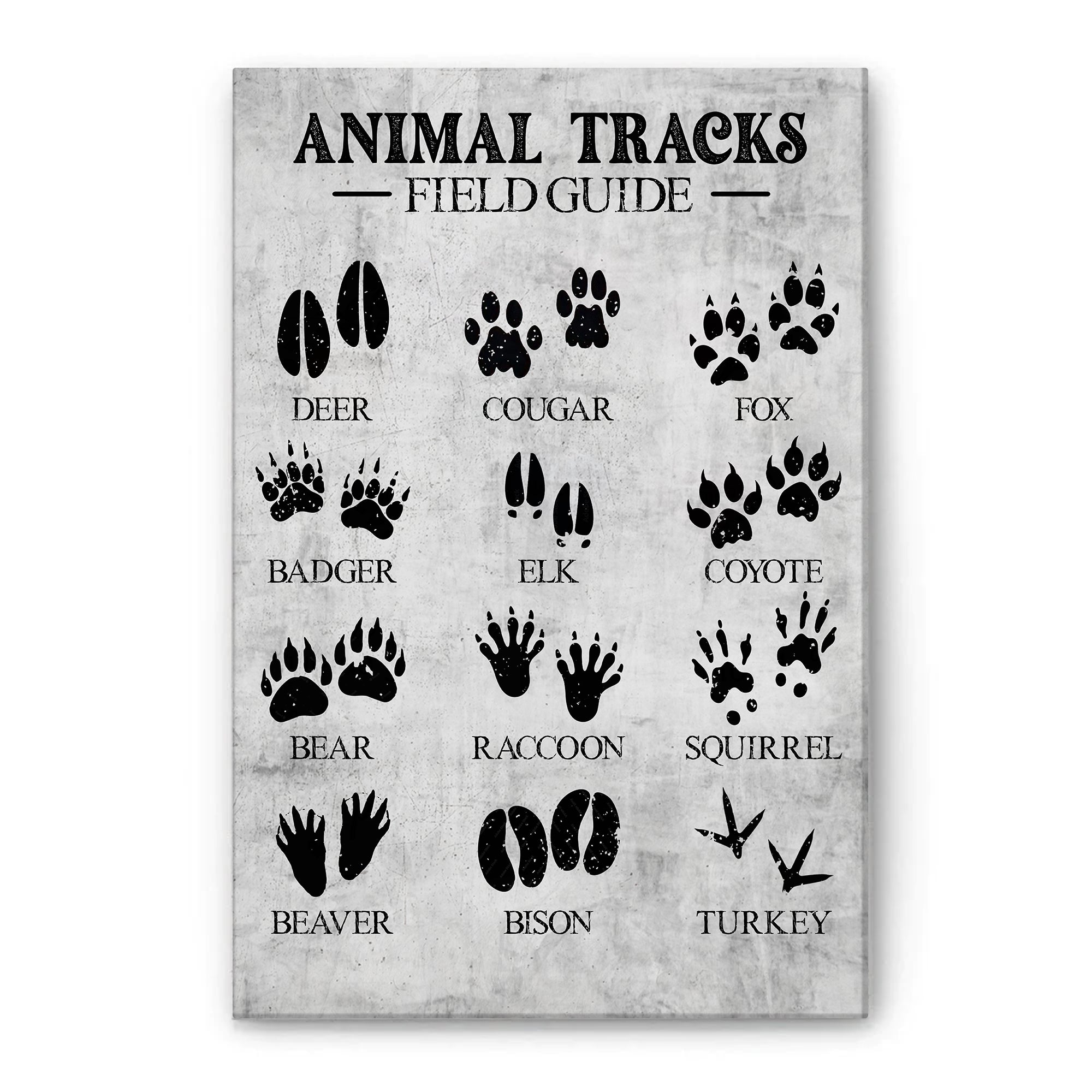 Animal Poster & Canvas, Animal Tracks Field Animal Footprints Wall Art -  OhaPrints