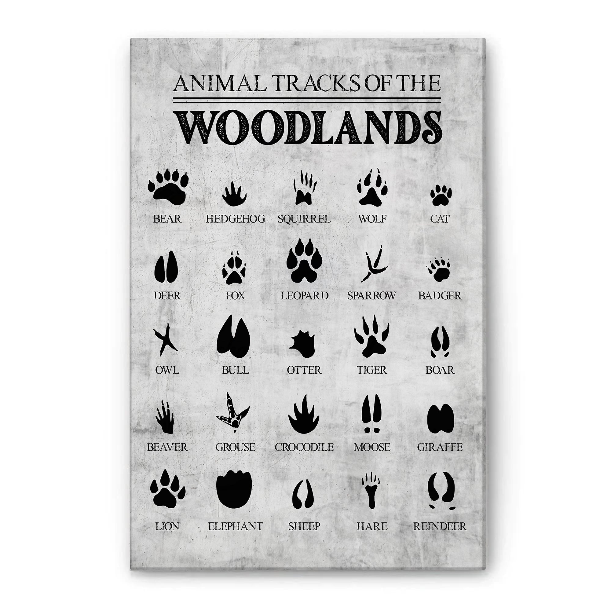 Animal Tracks Large Poster