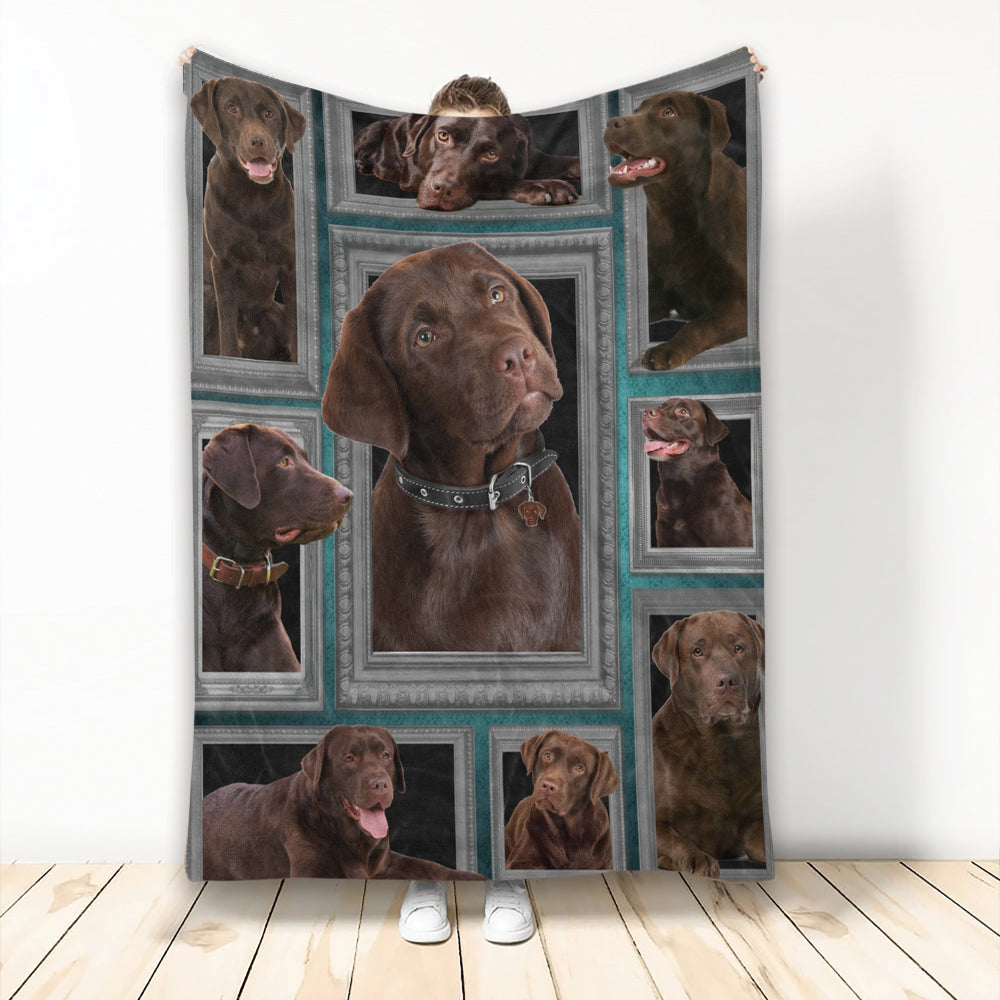 Ohaprints-Fleece-Sherpa-Blanket-Labrador-Funny-Beautiful-Chocolate-Faces-Soft-Throw-Blanket-2153-Fleece Blanket