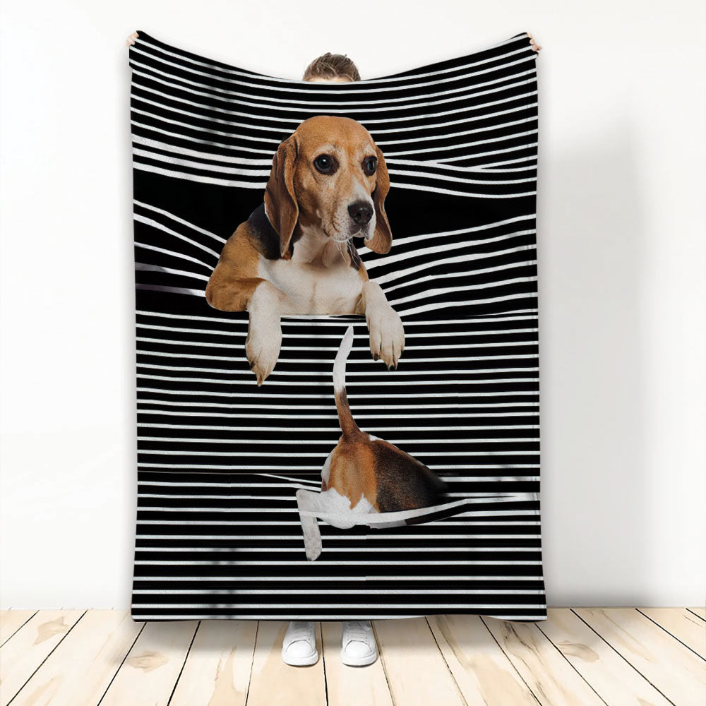 Dog Blanket Beach Ball 2024 and Stripes