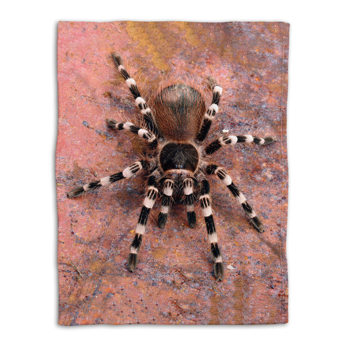 Ohaprints-Fleece-Sherpa-Blanket-Wild-Animal-Lover-Spider-Soft-Throw-Blanket-513-Fleece Blanket